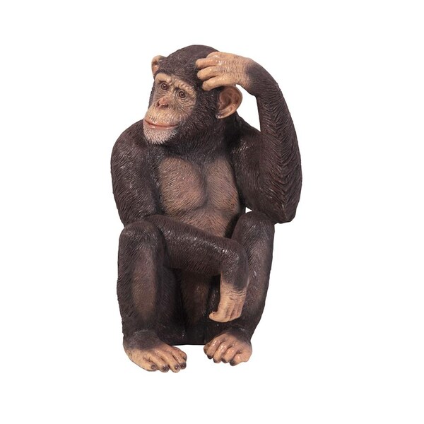 Chauncey The Confused Chimp Garden Monkey Statue